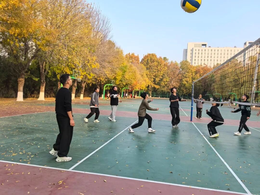 365上市公司官网成功举办秋季运动会趣味项目竞赛